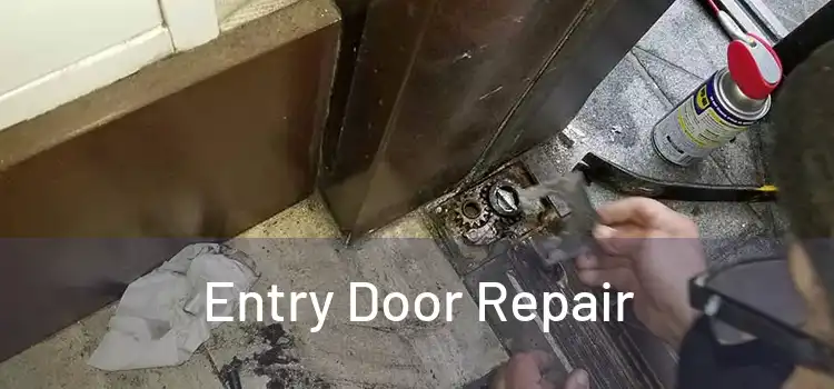  Entry Door Repair 